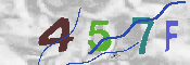 Imagen CAPTCHA